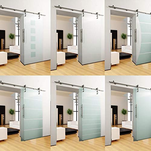 DURADOOR® Puerta interior de cristal de seguridad templado transparente en 2050 mm x 900 mm x 10 mm, sistema de puerta corredera, herraje para salón