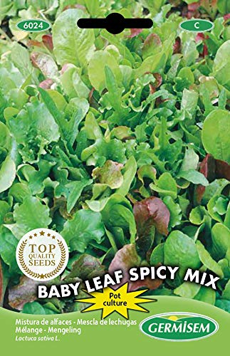 Germisem Baby Leaf Spicy Mix Semillas de Lechuga 2 g