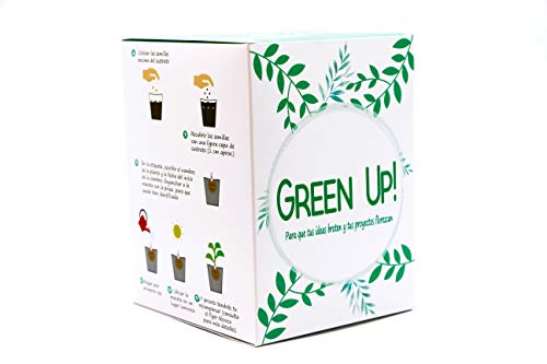 Green Up! Kit de Plantas–Kit completo de Hierbas Interior para Huerto Urbano–Cultiva tus propias Plantas y Hierbas Aromáticas–Kit de Cultivo Semillas 100% naturales (Menta, Albahaca, Romero)