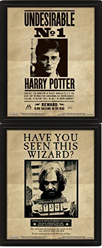 Harry Potter - Poster 3D Potter / Sirius, Negro, 10 x 8 x 1.3 cm