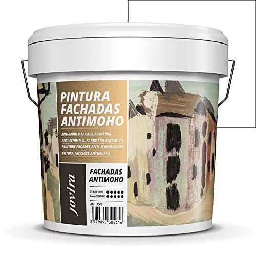 PINTURA FACHADAS ANTIMOHO, Repelente al agua, impermeable y antifisuras. (5KG, BLANCO)