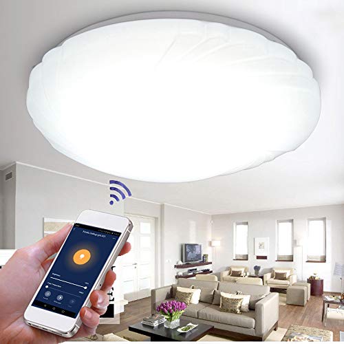 Smart WiFi - Lámpara de techo de 48 W, control de voz regulable a distancia LED, plafones función de memoria, plafón de pared para montaje en pared, 85 V-265 V