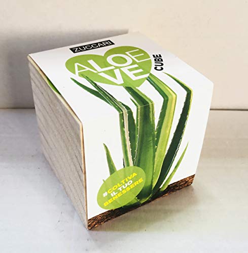 ZUCCARI - Aloe Love Cube - Cultiva tu Aloe