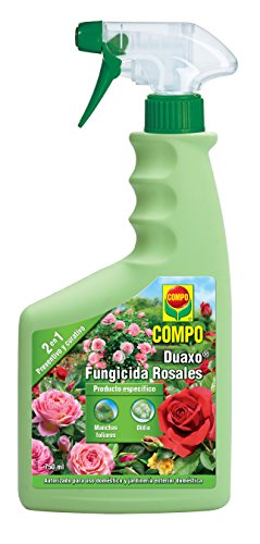 Compo Duaxo Fungicida Rosales, Spray 2 en 1 preventivo y curativo, Apto para jardinería Exterior doméstica, 26x11x5 cm