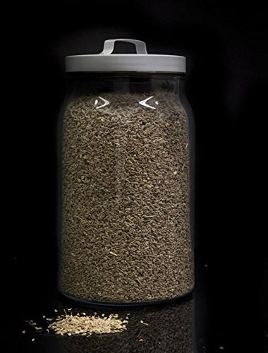 Hinojo semillas a granel - 1000 grs