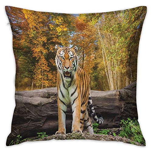 N\A Safari Square Travel Pillowcase Tiger in The Forest De pie y Mirando a la cámara Asian Beast Habitat Picture Marrón Naranja Fundas de cojín Fundas de Almohada para sofá Dormitorio Coche
