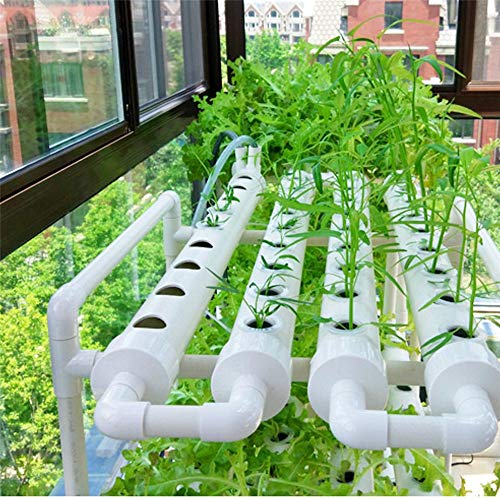 NBLYW Sistemas de Cultivo hidropónico, 1 Capas 36 sitios de Plantas Kit de Cultivo hidropónico, PVC Tubo hidropónico Vertical Cultivar para Vegetales de Hoja Apio de Hierbas