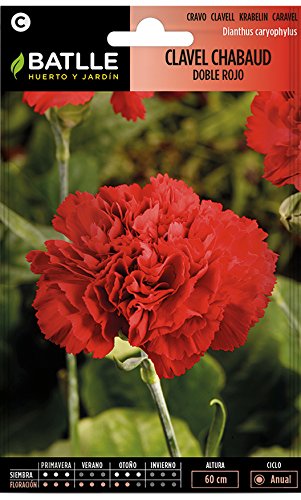 Semillas de Flores - Clavel Chabaud Doble rojo - Batlle