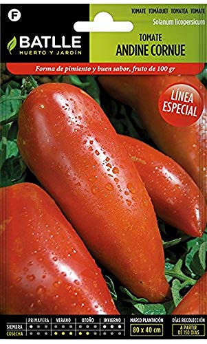 Semillas Hortícolas - Tomate Andine Cornue - de los Andes - Batlle