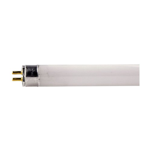Juego de 2 tubos fluorescentes F8W/33 T5 8 W, de 30,5 cm, de luz blanca fría, de la marca Crompton