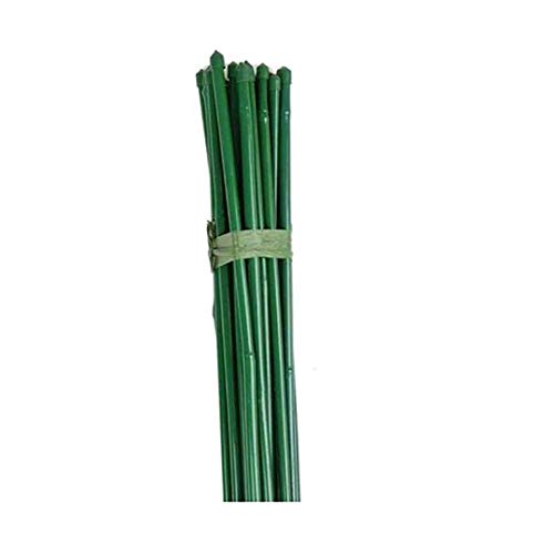 PLANTAWA Tutores de Bambú, Tutores Plastificados Ø 6-8 mm, Paquete 25 Unidades, Uso Agrícola para Sujetar Plantas, Hortalizas y Árboles (120cm)