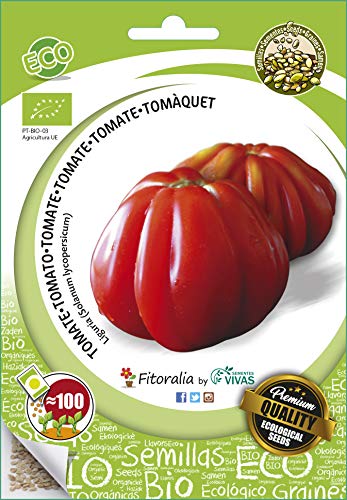 Tomate ecológico ( liguria) - Semillas fitoralia