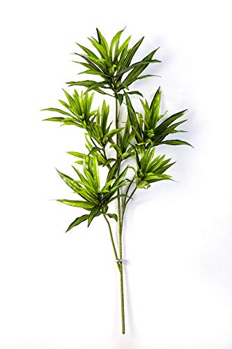 artplants.de Rama de Dracaena reflexa Artificial, 140 Hojas, Verde, 80cm - Drácena sintética - Planta Decorativa