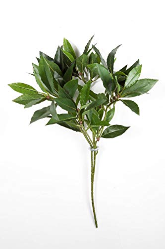 artplants.de Rama de Laurel Artificial KAMIRAN con 70 Hojas, Verde, 45cm - Planta Decorativa - Ramificación sintética