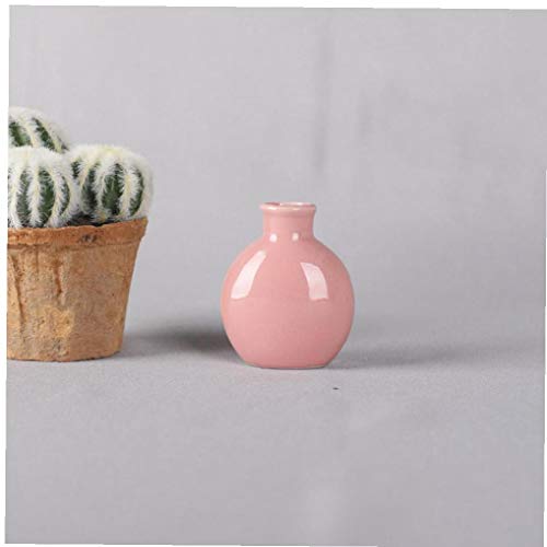 NaisiCore Pequeño florero Redondo de cerámica Creativa de cerámica del florero DIY Decorativo jarrón de Flores para la Vida Oficina de Habitaciones 2pcs Rosa Blanco