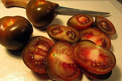 Portal Cool Tomate Kumato deliciosa - Dulce - 40 semillas frescas picante Brown delicioso! Â¡Envio GRATIS!