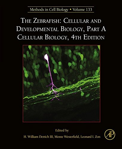 The Zebrafish: Cellular and Developmental Biology, Part A Cellular Biology (ISSN Book 133) (English Edition)