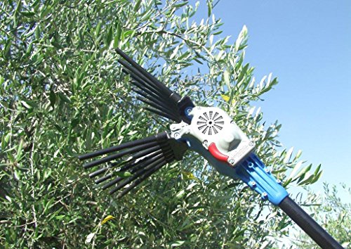 Vareador eléctrico con peine Oliwatt 2 Lisam recogedor de aceitunas rastrillo para producción de aceite extra de oliva