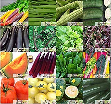 Vegetales orgánicos Shopvise Frutas supervivencia Seed Bank - NO OGM - con lúpulo y Stevia Semilla