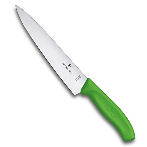 Victorinox Küchen-Tranchiermesser Fibrox Cuchillo TRINCHAR, 19 CM Verde Blister 6.8006.19L4B