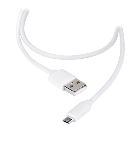 Vivanco 36252 Cable USB 2.0 Tipo A a Tipo B para Impresora/escáner, SAI, Arduino, Disco Duro, Fotografía Digital y Otro 1,2 Metro