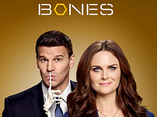 Bones - Season 9
