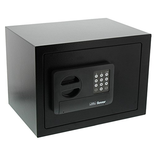 Burg-Wächter Favor S5 E Caja Fuerte de Empotrar con Cerradura de Combinación Electrónica, Negro, 250x350x250 mm