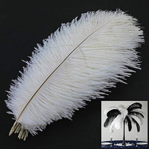Mwoot 10pcs Natural plumas de avestruz, 10–12 pulgadas (25–30 cm) Ostrich pluma para boda mesa decoración para el hogar (Blanco)