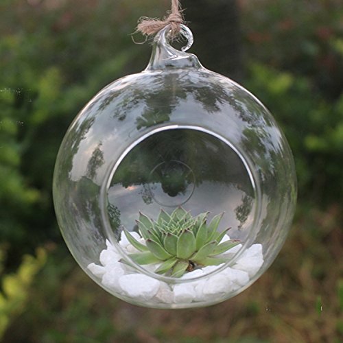 Springdoit Jarrón de Cristal Transparente para decoración del hogar, jardín, jarrón de decoración Colgante