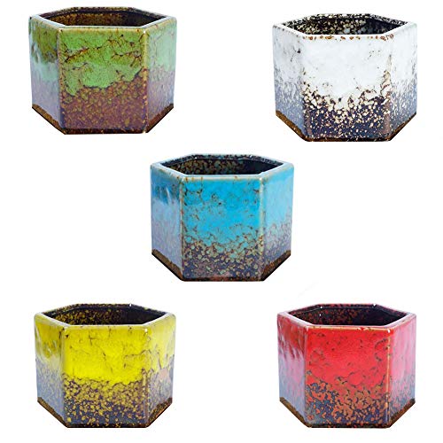 XIAOQI Macetas para plantas suculentas, coloridas de cerámica esmaltada, con orificio de drenaje, mini macetas, 5 unidades