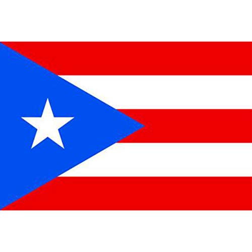 Bandera de Puerto Rico 3x5ft / 90x150cm Bandera Nacional Grande de Puerto Rico, con cabecera para los desfiles Bar Escuela Deportes Eventos Celebraciones del Festival Home Office Decor