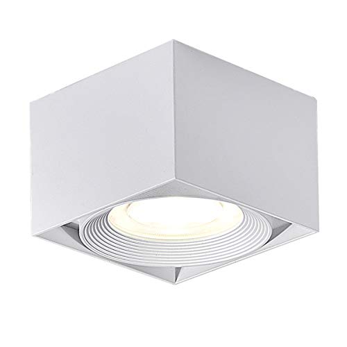 Dr.lazy 10W LED Focos para el techo,Lámpara de techo, Focos de techo,Lámpara de salón,Luz de techo led,Plafón con Focos, IP20, 10X10x7CM (Blanco-4000K)