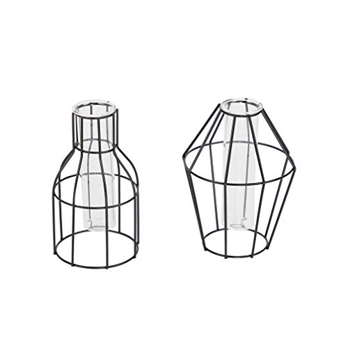 Flanacom Juego de 2 jarrones decorativos para mesa, decoración del hogar, diseño moderno y atemporal de metal con tubo de ensayo