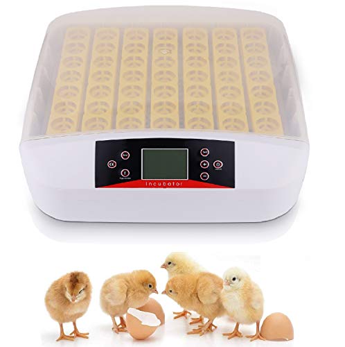Incubadoras Automáticas para 56 Huevos, Incubadora de Huevos con Iluminación LED, Pantalla de Humedad, Control de Temperatura y Rotación Automática de Huevos, Incubadora para Gallinas, Patos, Ganso