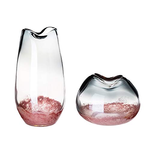 Jarrón de cristal soplado a mano, juego de 2, jarrón de cristal moderno degradado para decoración del hogar, oficina, botella de vidrio pesado decorativo para arreglos florales
