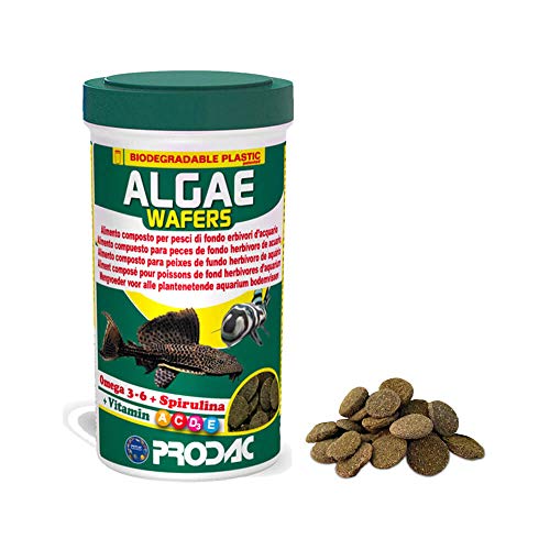 prodac Algae Wafers 250ml, alimento para Peces de Fondo Vegetarianos