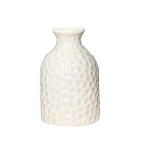 VOSAREA Pequeño jarrón de cerámica Maceta Recipiente de cerámica para Plantas en el hogar Oficina Floristería Restaurante Adornos de decoración de Mesa (Blanco)