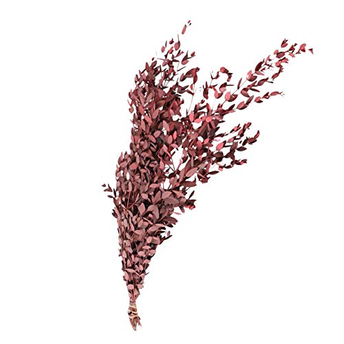 YEES Hojas de eucalipto artificiales, simulación de ramo de flores secas, flores secas, hojas de eucalipto secas, decoración natural, amicable