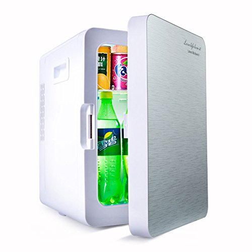 YIWANGO Refrigerador del Coche 20L Dormitorio del Estudiante De poca Potencia Mini Coche Sistema De Refrigerador Pequeño Refrigerado Auto Hogar De Doble Uso,Silver