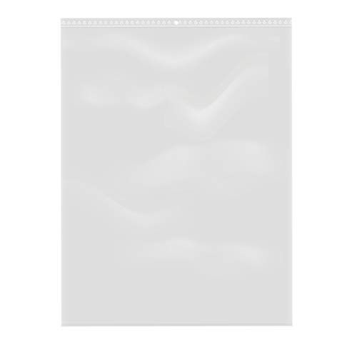 100 bolsas de plástico con cierre de cremallera transparente (30 x 40 cm)