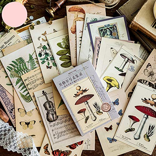 30pcs / Box Antiguo Bosque Animales Plantas del Espécimen Postal del Estilo De Escritura De La Vendimia Tarjetas De Regalo Tarjetas Postales