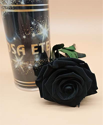 almaflor Rosa eterna Negra Extra. Gratis TU ENVÍO Premiun. Rosa preservada Negra Extra. Rosa preservada Negra Extra. Fabricado en España.