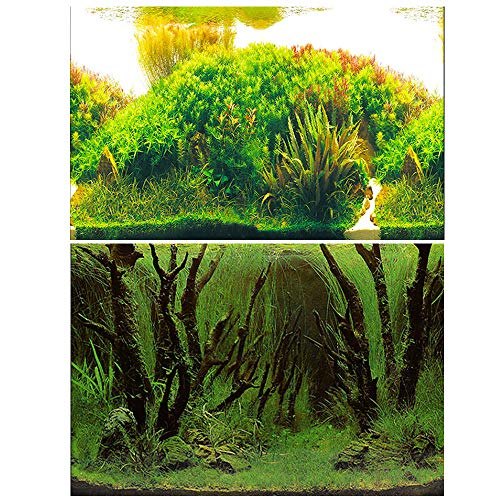 Amakunft 50 cm de alto x 62 cm de ancho, adhesivo para fondo de acuario, plantas de agua, doble cara, papel pintado para tanque de peces