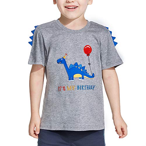 AMZTM Dinosaurio Camiseta de Cumpleaños - Bebé Cumpleaños Fiesta Manga Corta 100% algodón Cuello Redondo T-Rex Bordado Gráfico Gris T Shirt Regalo(Gris, 91-96)