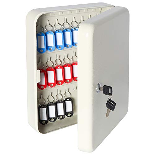 Parrency Security - Caja de llaves de metal con 48 ganchos, gran armario de seguridad ajustable para montaje en pared, 11 4/5" x 9 1/5" x 3" (llavero incluido)