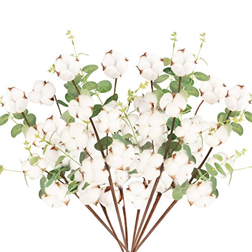 8 Pcs Tallo de Flores Secas Naturales Blancas Rama Flor Seca Algodon Artificiales con 6 Cabezas Bouquet Flores con Hojas de Eucalipto Decoracion para Boda Jarron Hogar Fiesta