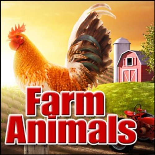 Barn, Animals - Interior: Sheep, Horses, Cows, Chickens, General Ambience Farm, Rural & Countryside Ambiences