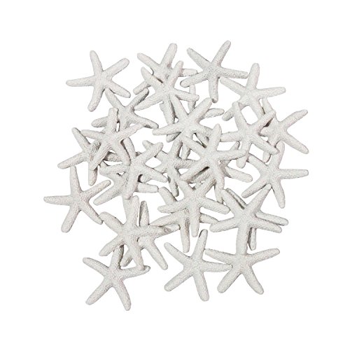 LJY - 25 estrellas de mar de 6 cm, de color blanco, de resina, para decoración de bodas, hogar y proyectos de manualidades