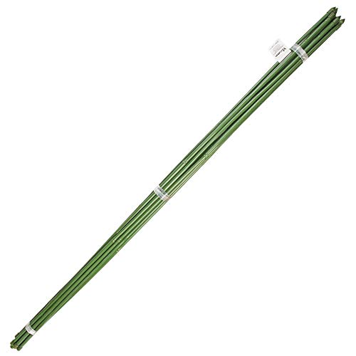 Tutor Varilla Bambú Plastificado Ø 8-10 Mm. X 60 Cm. (Paquete 10 Unidades)
