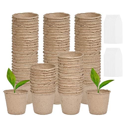 CJMM Macetas desmontables redondas pequeñas de 6 cm con 100 etiquetas de plástico para plantas (blanco 1 x 5 cm), biodegradables, 100 unidades para plantas